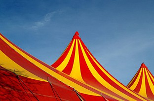 Тайните на живота в цирка 
