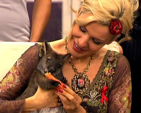 Гала нахрани в ефир с морков 6-месечното бебе кенгуру Артуро...
