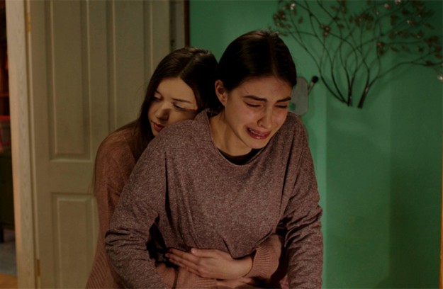 Госпожа Фазилет и нейните дъщери | Fazilet Hanım Ve Kızları (2017-2018)