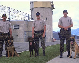 Кучета-полицаи – вторник 8-ми септември, 22:00 ч